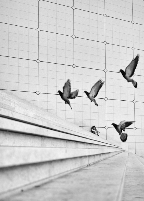 La-Defense-11-2025-1